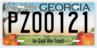 GA license plate PZO0121