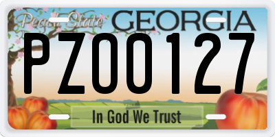 GA license plate PZO0127