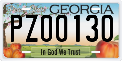GA license plate PZO0130
