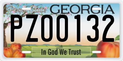 GA license plate PZO0132