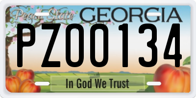 GA license plate PZO0134