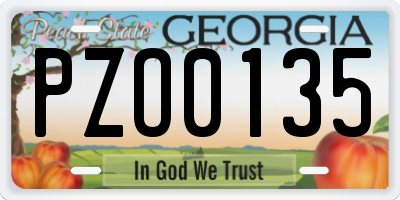 GA license plate PZO0135