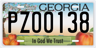 GA license plate PZO0138