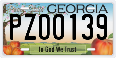 GA license plate PZO0139
