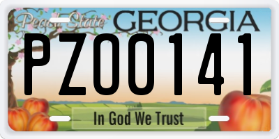 GA license plate PZO0141