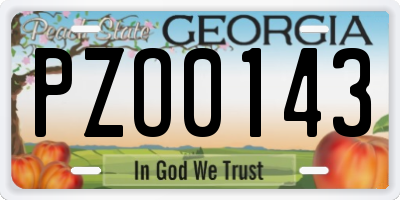 GA license plate PZO0143