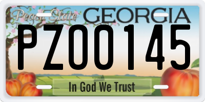GA license plate PZO0145