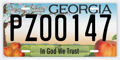 GA license plate PZO0147