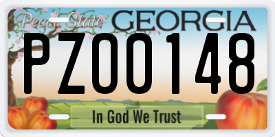 GA license plate PZO0148
