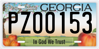 GA license plate PZO0153