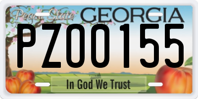 GA license plate PZO0155
