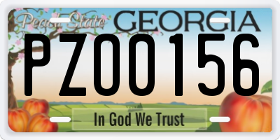 GA license plate PZO0156