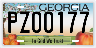 GA license plate PZO0177