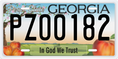 GA license plate PZO0182