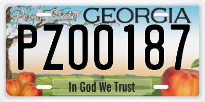 GA license plate PZO0187