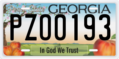GA license plate PZO0193