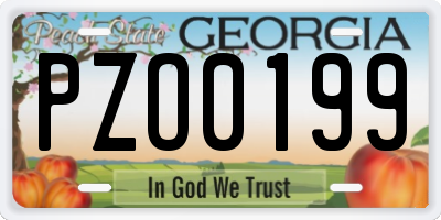 GA license plate PZO0199