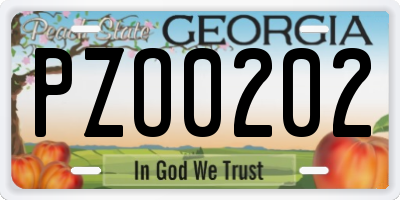 GA license plate PZO0202
