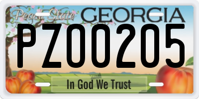 GA license plate PZO0205