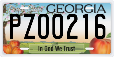 GA license plate PZO0216