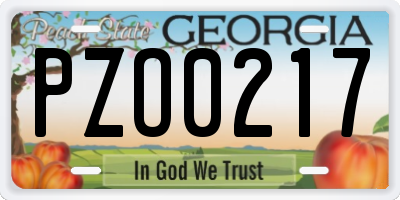 GA license plate PZO0217