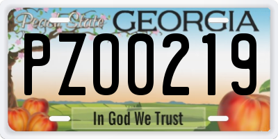 GA license plate PZO0219