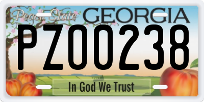 GA license plate PZO0238