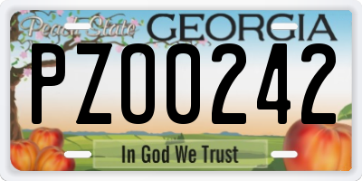 GA license plate PZO0242