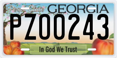 GA license plate PZO0243