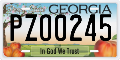 GA license plate PZO0245