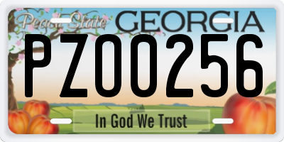 GA license plate PZO0256