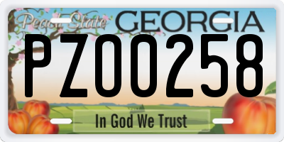 GA license plate PZO0258