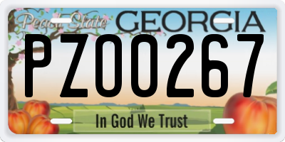 GA license plate PZO0267