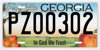 GA license plate PZO0302
