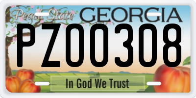 GA license plate PZO0308