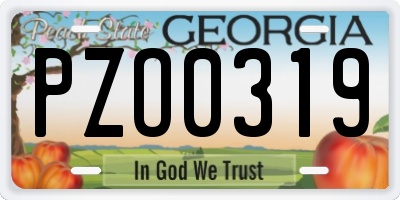 GA license plate PZO0319