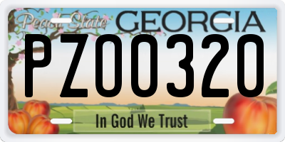 GA license plate PZO0320