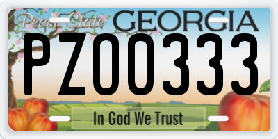 GA license plate PZO0333