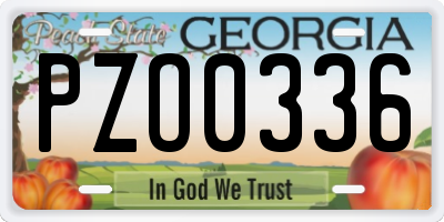 GA license plate PZO0336