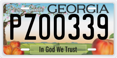GA license plate PZO0339