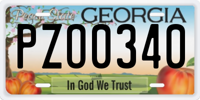 GA license plate PZO0340