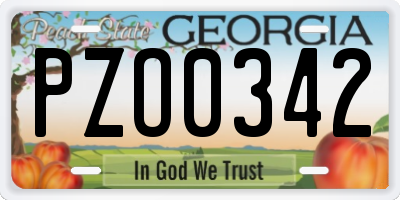 GA license plate PZO0342