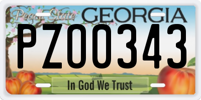 GA license plate PZO0343