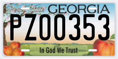 GA license plate PZO0353