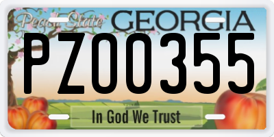 GA license plate PZO0355