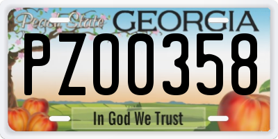 GA license plate PZO0358