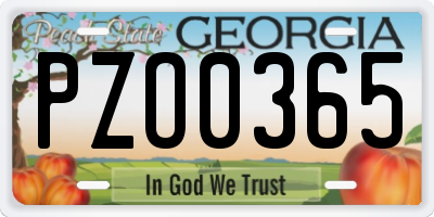 GA license plate PZO0365