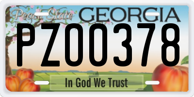 GA license plate PZO0378