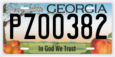 GA license plate PZO0382