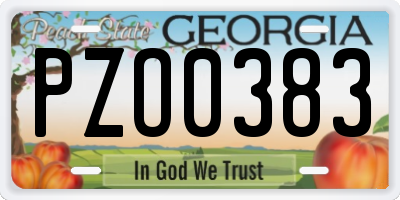 GA license plate PZO0383
